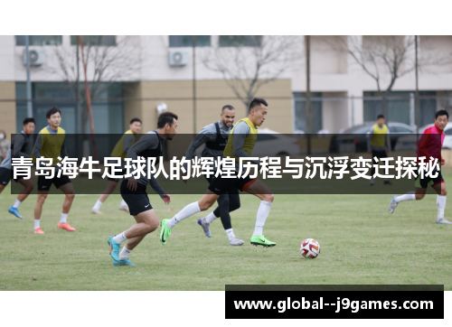 青岛海牛足球队的辉煌历程与沉浮变迁探秘 青岛海牛足球队的辉煌历程与沉浮变迁探秘